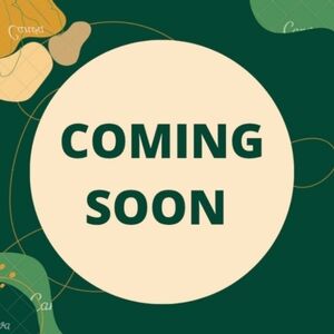 Insect costume age 5/6